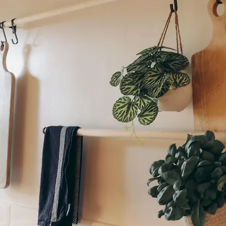 度假居 North Lakes - The Fold